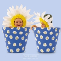 Baby flowers