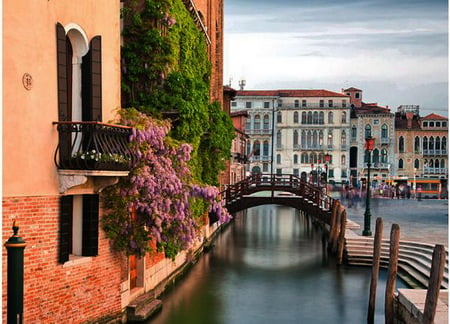 Spring in Venice   Italy - sky, houses, venice, canal, flowers, wonderful, bridge, spring