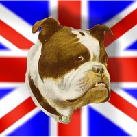 British Bulldog