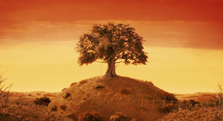 tree on the hill - sky, hot, photography, sun, rocks, bright, tree, desert, sand