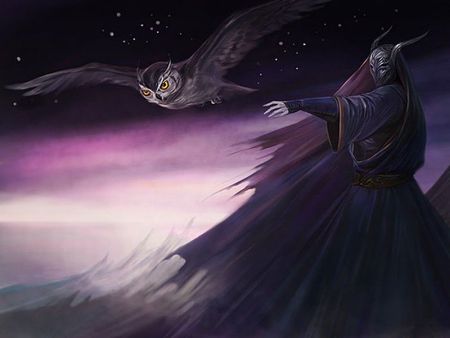 ATTACK OF THE BLACK LORD - owl, bird, attack, fantasy, mask, gothic