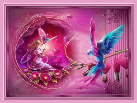 BIRD FAIRY - pink, blue, parrots, wings, fairy, bird