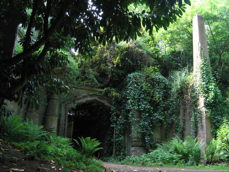 forest arch - beauty, nature, trees, forest, greenery, green, structure, man made