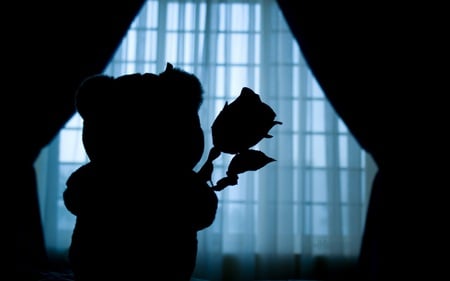 From Bear With Love - silhouette, abstract, curtains, window, bear, artwork, rose