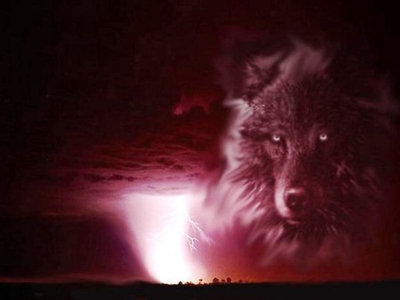 Red Werewolf - werewolf, nature, dogs, wolf, red, coler, sky