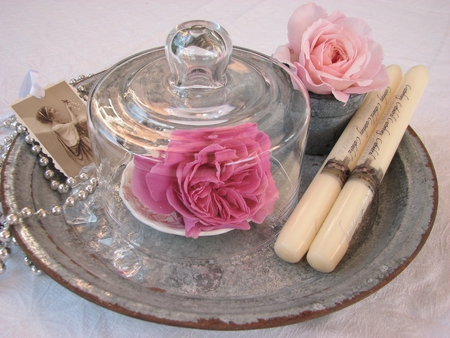 still life - glass, roses, pink, vintage, candles, plate, still life