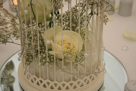 still life - roses, yellow, vintage, wedding, birdcage, still life