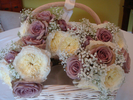 roses - basket, still life, roses, vintage