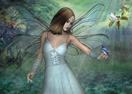 FEATHERED FRIENDS - fantasy, birds, female, wings, fairy, feathered