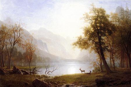 Valley in Kings Canyon - lake, tree, roe, mountain