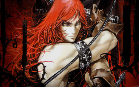 Castlevania - assassin, warrior, hair, video game, fantasy, simon, castlevania, red, belmont