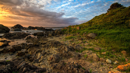 Sunset-HDR - pretty, beach, landscape, grass, hdr, nice, sky, clouds, stone, beautiful, photography, lovely, cool, tree, harmony, nature, sunset, peaceful, rocks