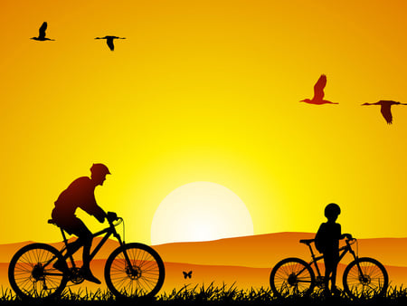 yellow-carpet - birds, yellow, grass, sunsets, family, bike, nature, bicy, sun