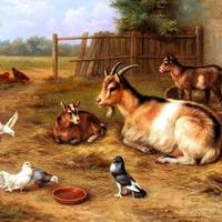 Edgar Hunt "A farmyard Scene With Goats, Chickens and Doves"