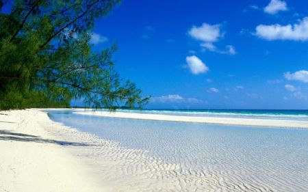 Taino Beach, GBI, Bahamas - clouds, trees, blue, beach, sand, sandy, white, tropical, swim