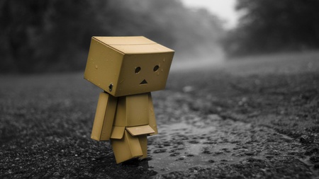 Sad Danbo colorsplash - road, colorsplash, danbo, rain