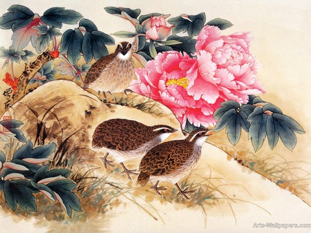 Chinese art - flower, chinese, bird, painting, art