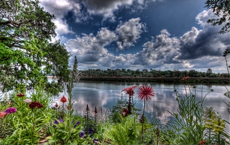 Red Flower River - saturation, floral, peaceful, beautiful, hdr