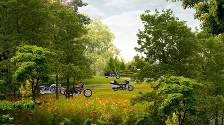 Harley Park - sky, trees, hogs, park, bikes, flowers, grass, motorycles