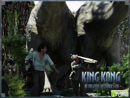 King Kong - drama, ape, movie, jungle