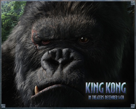 King Kong - ape, movie, drama, jungle