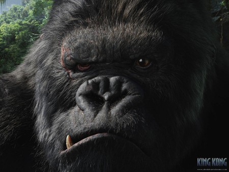 King Kong - drama, ape, movie, jungle