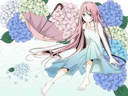 Megurine Luka - pretty, artistic, pink, luka, flowers, umbrella, nice, program, megurine, beauty, virtual, petals, cg, white, megurine luka, cute, song, vocaloid, anime, blue, dress, music, aqua, art, idol, anime girl, beautiful, singer, girl, cool, white dress, black, awesome, diva, digital, vocaloids