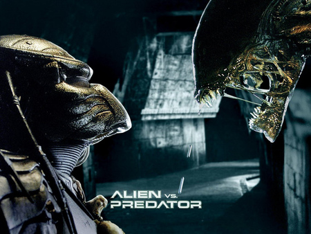 Alien vs Predator - space, movie, horror, alien