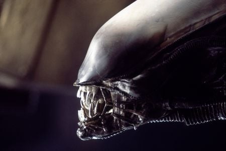 Alien - space, movie, horror, alien