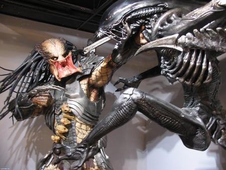 Alien vs Predator - movie, horror, space, alien