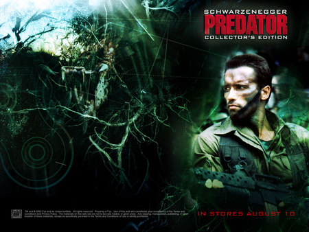 Predator - space, movie, horror, alien