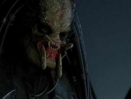 Predator - space, movie, horror, alien