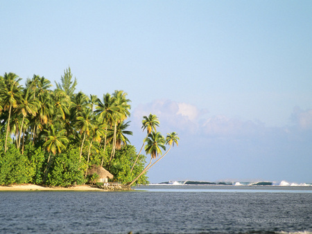 Tahiti - beaches, palm trees, pacific ocean, blue, water, tahiti, waves