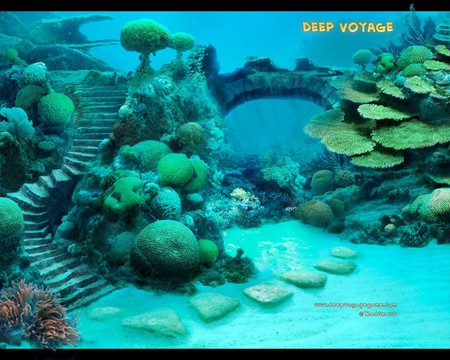 deep voyage02