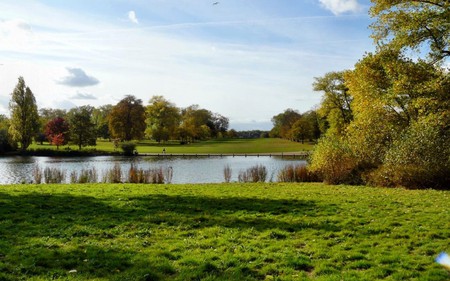 hyde park - lakes, nature, outdoor, woods