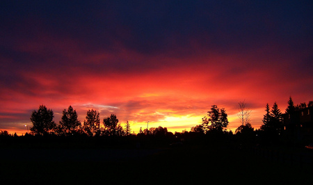 Beautiful sky - beauty, sky, trees, wonderful, nature, beautiful, sunsets, colors, color, tree