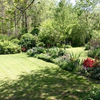 Chairs at end of yard