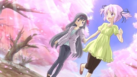 Homura and Madoka - mahou shoujou madoka magica, akemi homura, anime, kaname madoka, cherry blossom