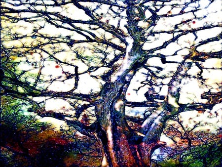 Tree of life - tree, digital, realism, old, artistic