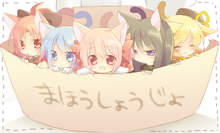 Cute ! - kawai, hetaling, face, miki, anime, mahou, cute, neko, homura, sayaka, girl, chibi, catgirl, shoujo, magica, sakura, kaname, akemi, madoka, kyuubee