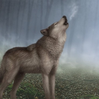 HOWLING WOLF