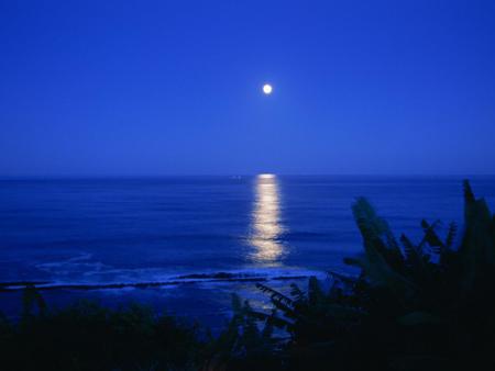 Moon-Path-in-Japan - moon, blue, beach, beautiful, night, reflection, japan, nature, sky