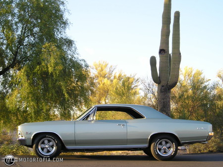 1966 Chevrolet Chevelle SS 396 - super sport, muscle car, classic, chevelle, chevy, 1966, gm