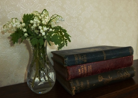 still life - flowers, vase, old, books, still life, lily