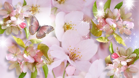 Sakura So Bright - butterfly, blossoms, japan, sakura, pink, cherry, firefox persona, spring