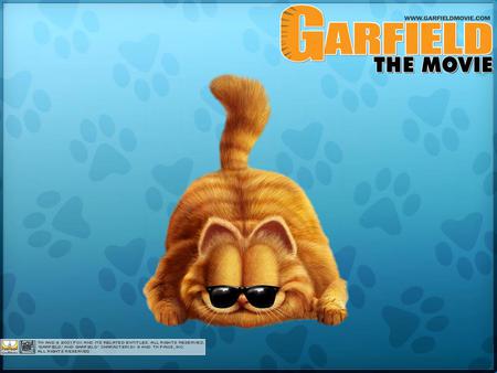 Garfield - movie, cat, garfield, comedy