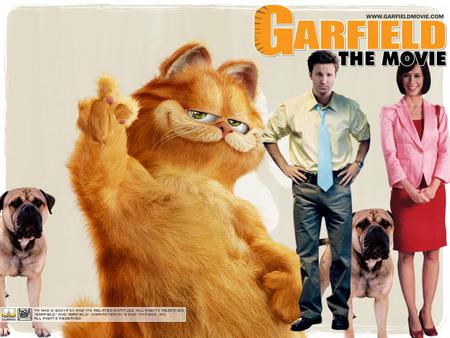 Garfield - movie, cat, garfield, comedy