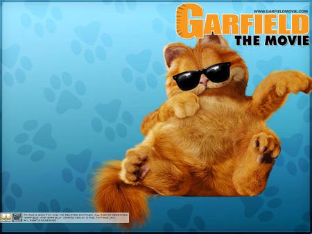 Garfield - movie, cat, garfield, comedy