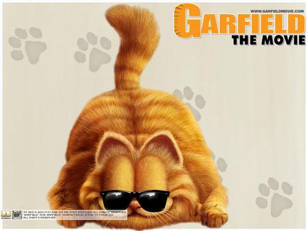 Garfield - comedy, cat, garfield, movie