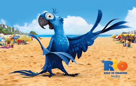 Rio - movie, rio, comedy, parrot